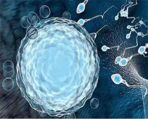 泰国第一试管婴儿医院生殖专家：胚胎不着床，找出病因是关键