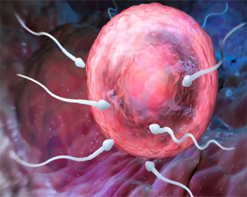 广州供卵质量广州三甲助孕选